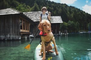 A woman standing in a canoe with a therapy dog, symbolizing support and guidance
